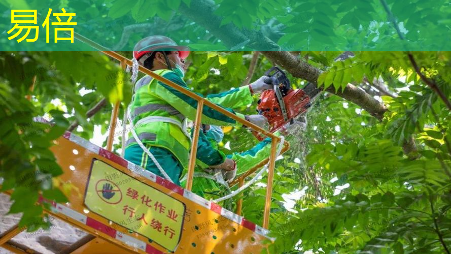 峨眉山城市绿化管理包含哪些项目