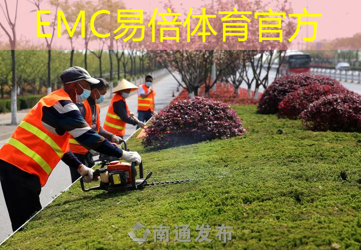 头顶绿化工程