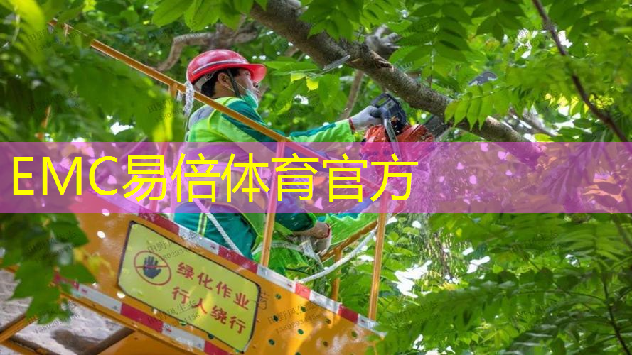 西城园林绿化工程规划方案